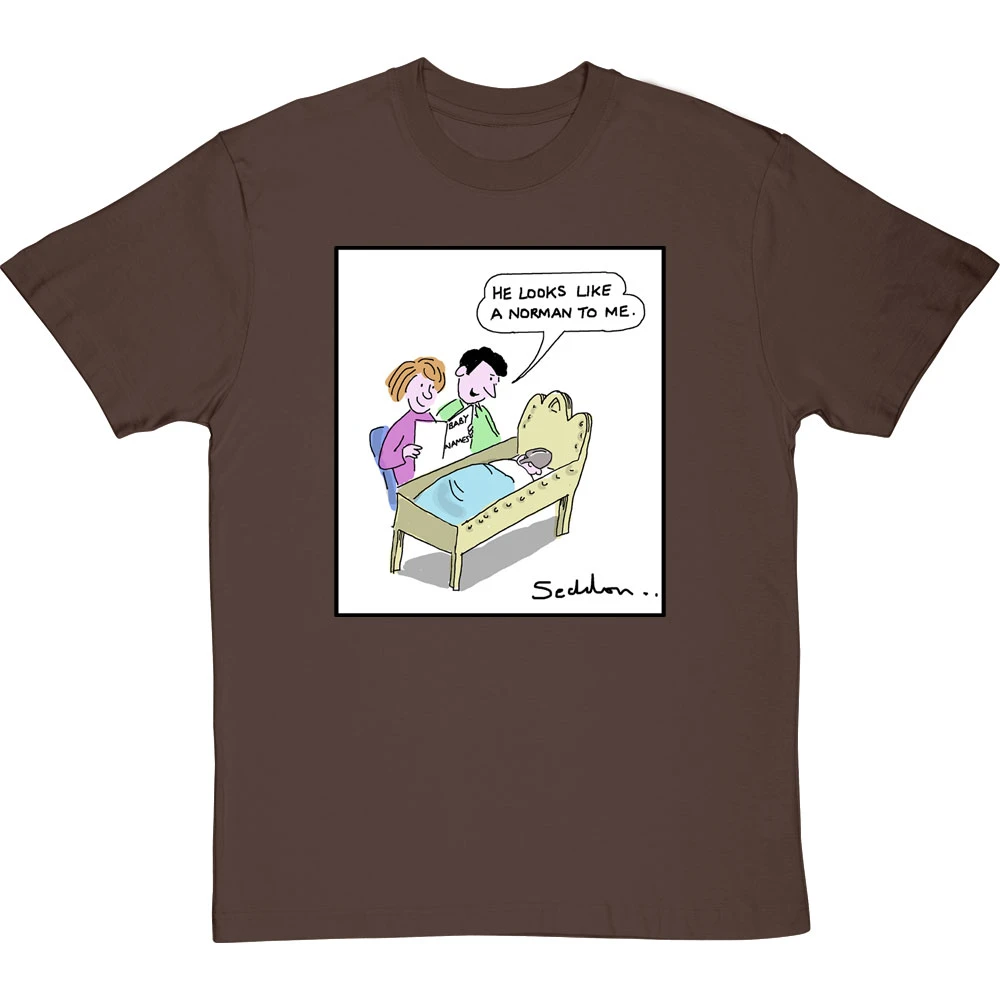 He Looks Like A Norman T-Shirt 14 He Looks Like A Norman T-Shirt - Image 14