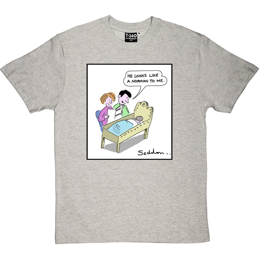 He Looks Like A Norman T-Shirt 9 He Looks Like A Norman T-Shirt - Image 9