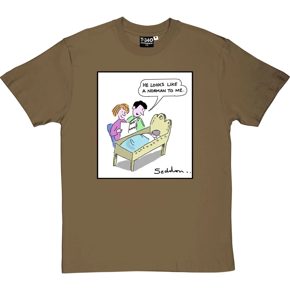 He Looks Like A Norman T-Shirt 11 He Looks Like A Norman T-Shirt - Image 11