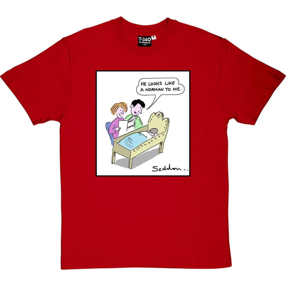 He Looks Like A Norman T-Shirt 6 He Looks Like A Norman T-Shirt - Image 6