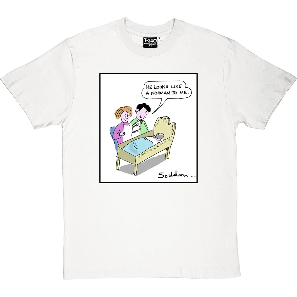 He Looks Like A Norman T-Shirt 2 He Looks Like A Norman T-Shirt - Image 2