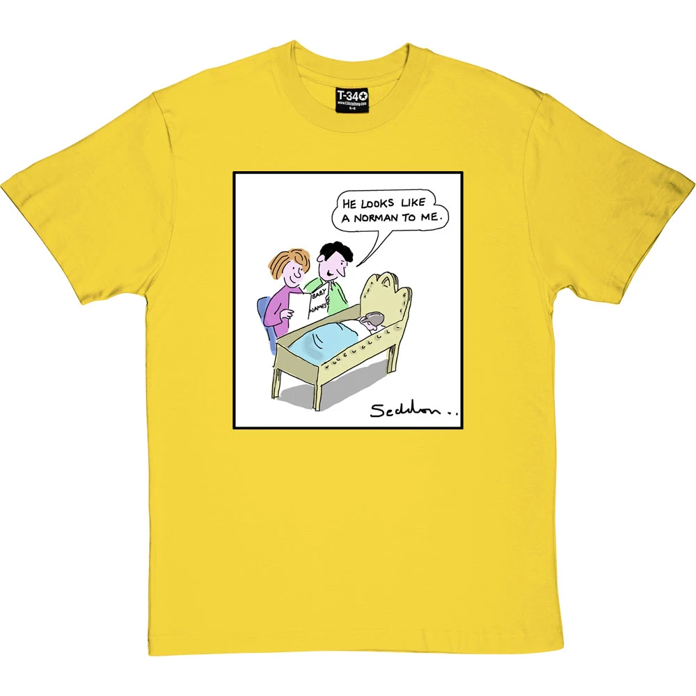 He Looks Like A Norman T-Shirt 15 He Looks Like A Norman T-Shirt - Image 15