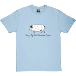Today's Pigs Are Tomorrow's Bacon T-Shirt 39 Today's Pigs Are Tomorrow's Bacon T-Shirt -ThinkWear Collective Sales todays pigs tomorrows bacon tshirt 1 skybluetshirt